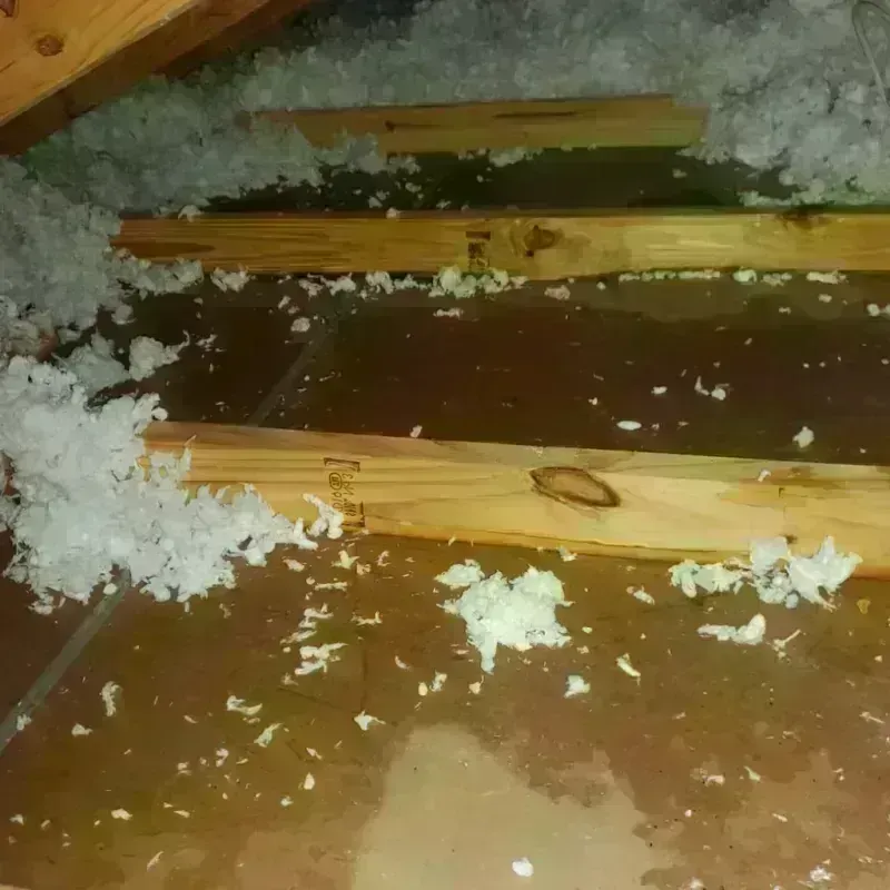 Attic Water Damage in East Sumter, SC